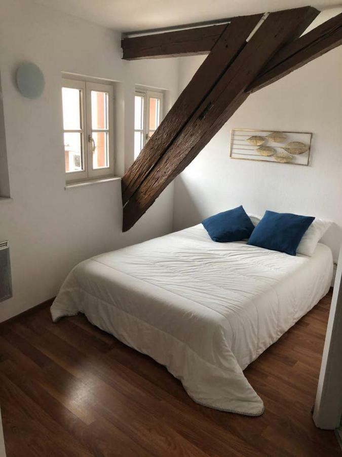 Appartement Avec Balcon Centre Ville ستراسبورغ المظهر الخارجي الصورة