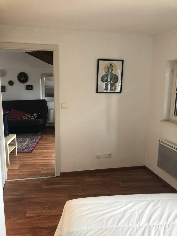 Appartement Avec Balcon Centre Ville ستراسبورغ المظهر الخارجي الصورة